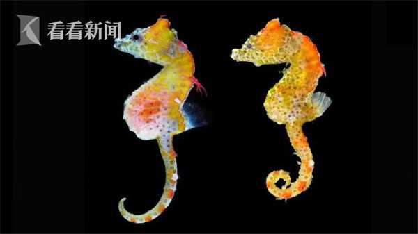 ...亚托莉我挚爱的时光手机版v 示例图 - 说明文字