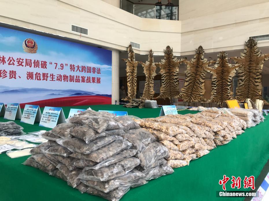 上位勾引h师生出轨兔子爱吃草新章节-上位勾引 示例图 - 说明文字