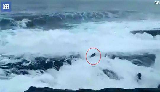 安全找到18游戏入口，避开常见问题和风险的指南 示例图 - 说明文字