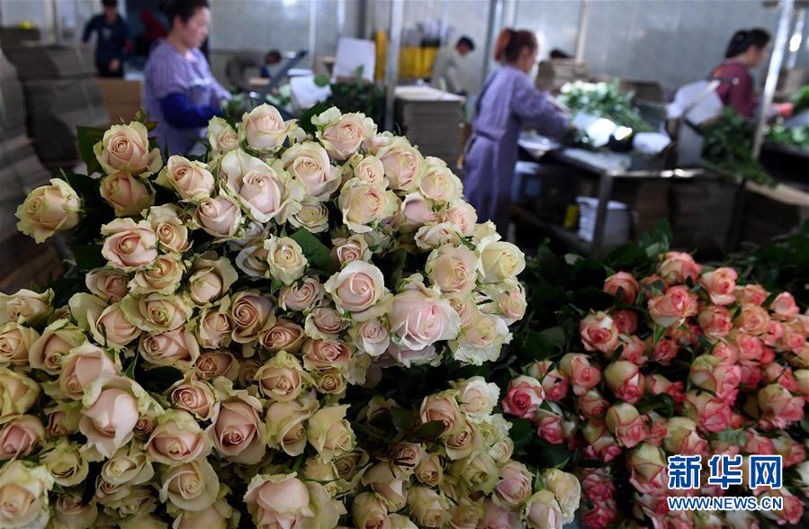 五情天综合基地揭秘幸福秘密 示例图 - 说明文字