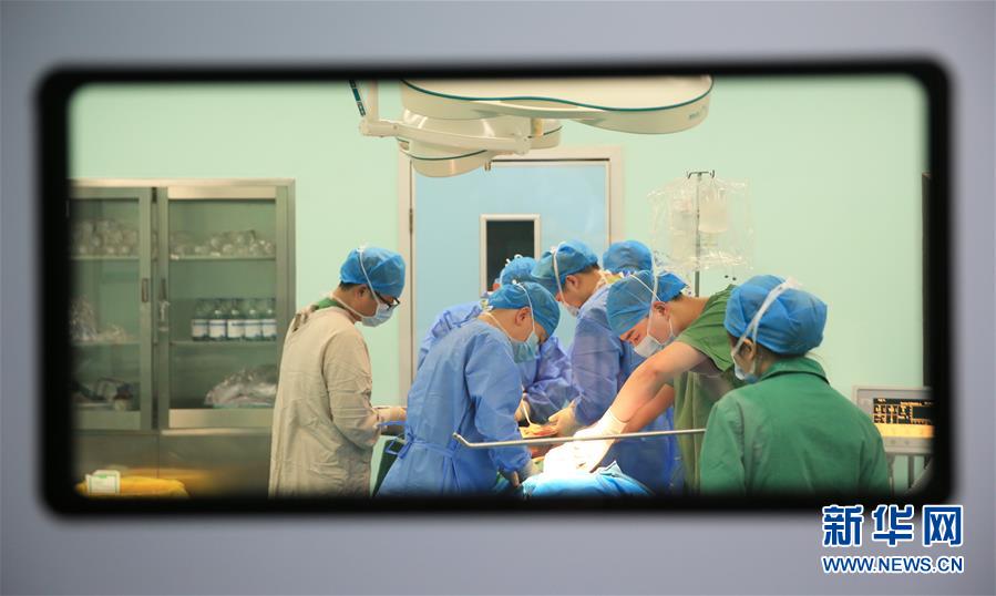 上半年全国社会物流总额1674万亿元，恢复稳定态势持续 示例图 - 说明文字