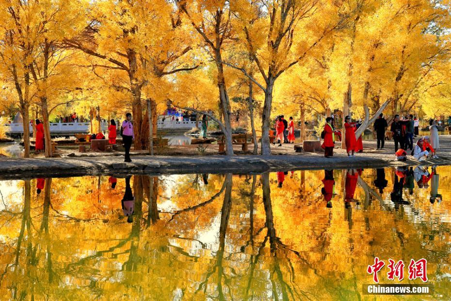 区av电影国产伦精品一二三区日韩av 示例图 - 说明文字