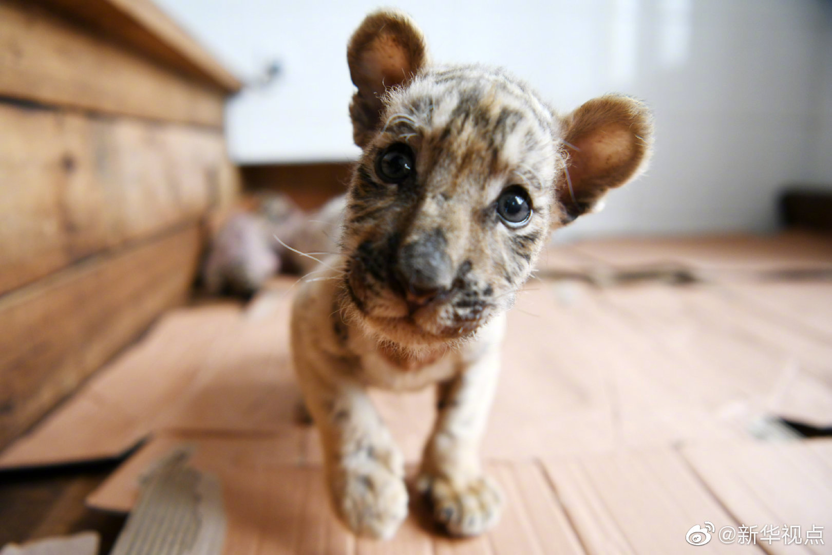 日韩精品人妻无码久久影院神马影院在线top在线播放堂电影网 示例图 - 说明文字