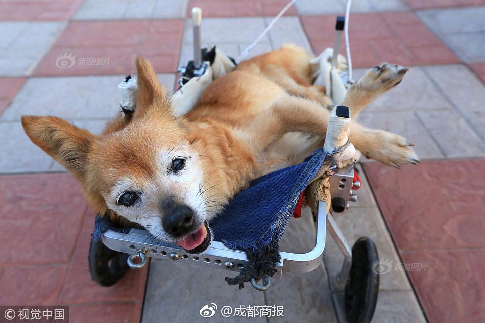 18岁流白浆原因-生理现象还是需要治疗-荟 示例图 - 说明文字