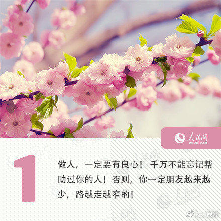 悍城演员表-历史剧完整版免费观看 示例图 - 说明文字