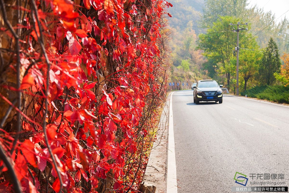 2024一元手游折扣专区，好玩小众游戏排行 示例图 - 说明文字