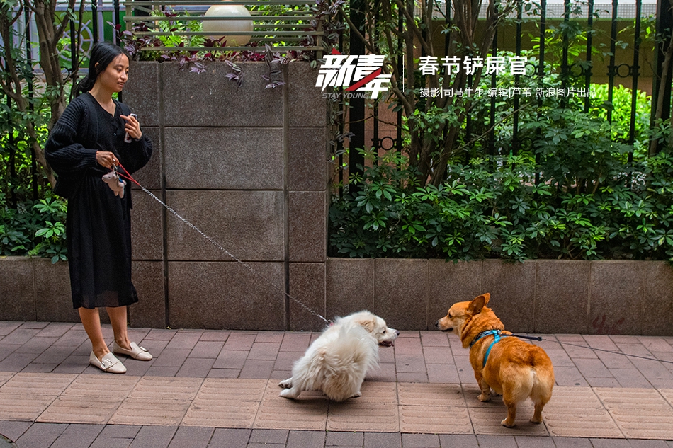 →→fulao2邮箱专业站长版v3314.6314.58585a_ 示例图 - 说明文字