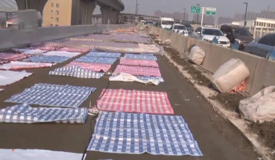 zoomservo兽-科技幻想未来生物 示例图 - 说明文字