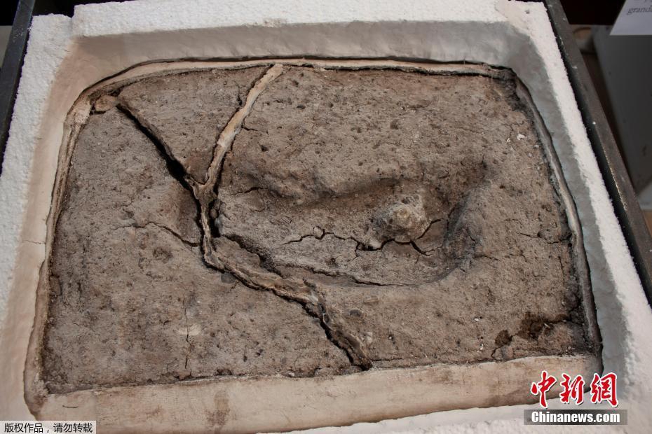 公司公厕小说免费阅读2025最新章节更新 示例图 - 说明文字