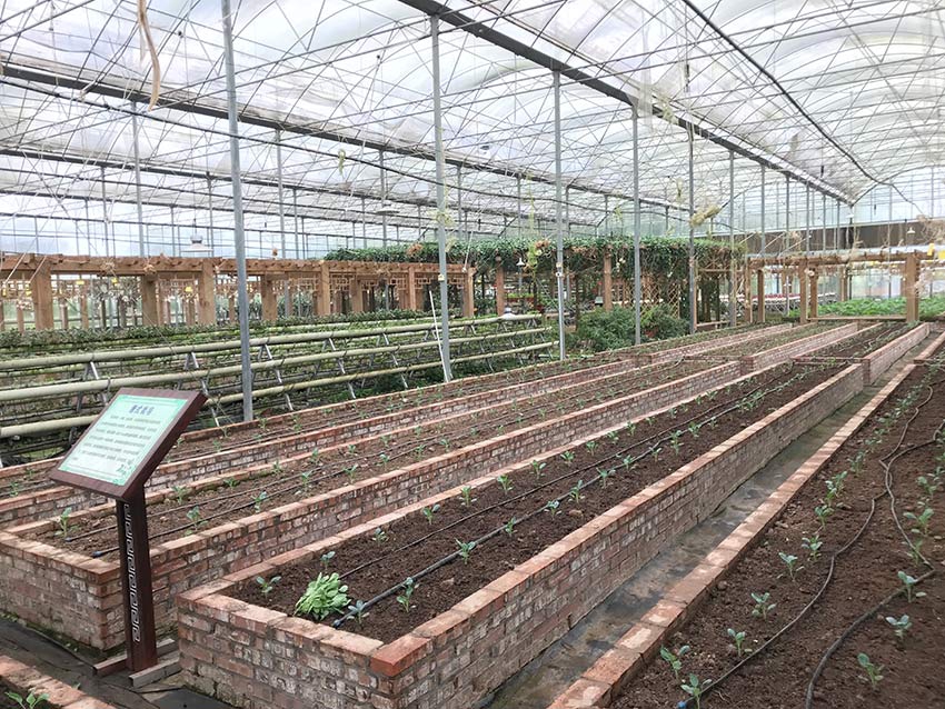 →→fulao2邮箱专业站长版v3314.6314.58585a_ 示例图 - 说明文字