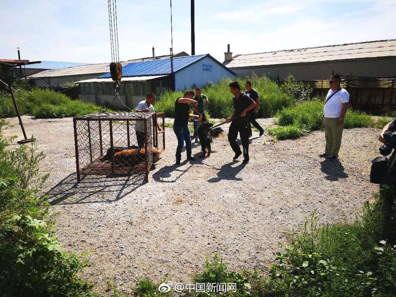 s货大声点c，懒烂你的b，电影高清在线观看 示例图 - 说明文字