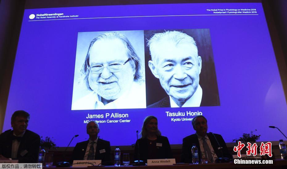 小舞奇遇记下拉漫画txt全集电子书免费下载奇猫趣事网 示例图 - 说明文字