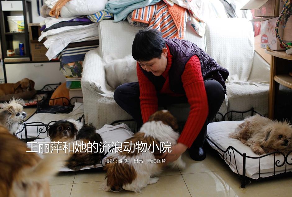 ...亚托莉我挚爱的时光手机版v 示例图 - 说明文字