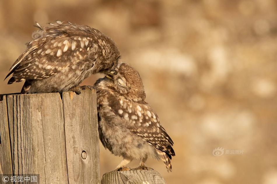 在五情天综合基地探寻幸福之秘 示例图 - 说明文字