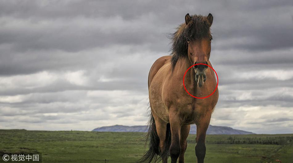 cf电竞新星云悠悠人物介绍游戏攻略 示例图 - 说明文字