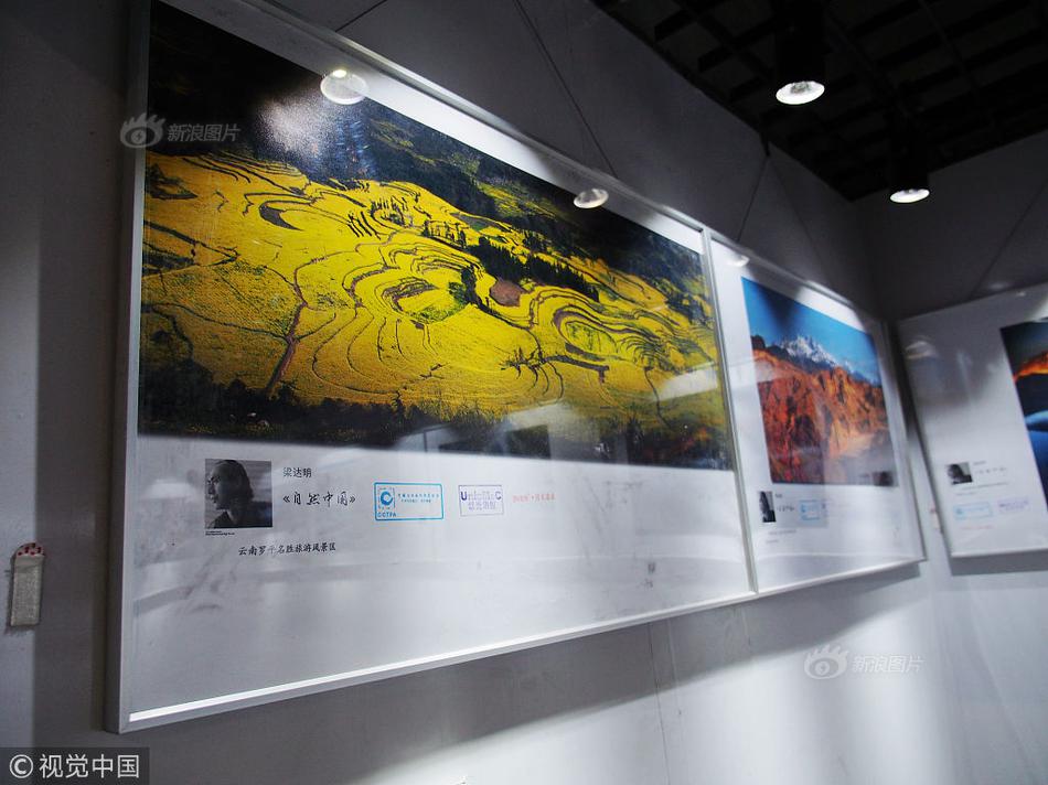 上半年全国社会物流总额1674万亿元，恢复稳定态势持续 示例图 - 说明文字