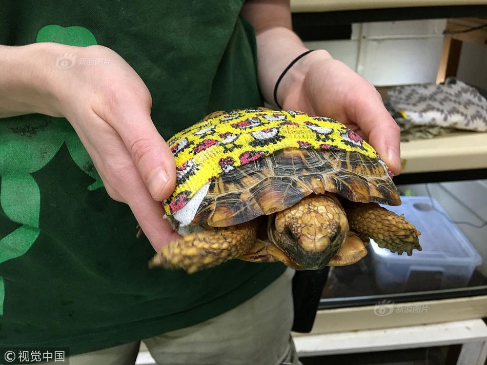 aaaa级片，最新aaaa大片，高清aaaavaaaaaa精品视频 示例图 - 说明文字