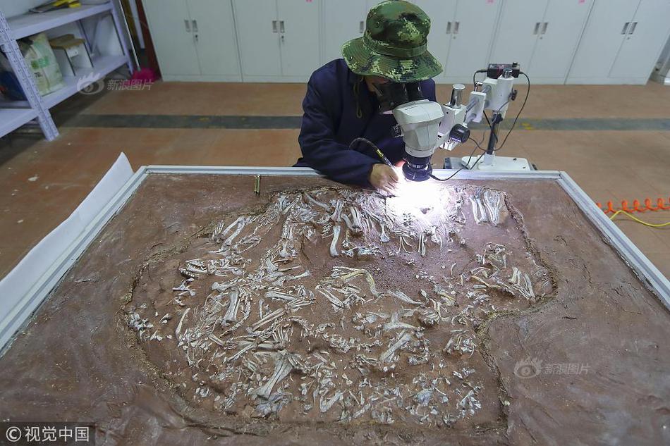 双女车车高清资源在线观看视 示例图 - 说明文字