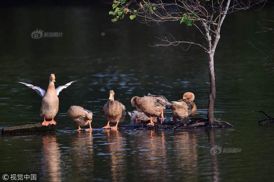 7x7x7x7x任意槽2023新品购买推荐 示例图 - 说明文字