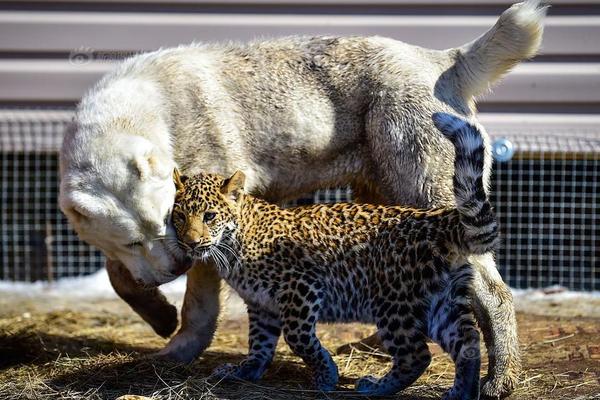 义妹生活免费在线观看-完整版-fhd日漫-新尚影院 示例图 - 说明文字