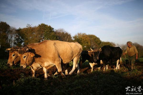 庙里的和尚猛免费在线阅读_四缺一_全集最新收录 示例图 - 说明文字