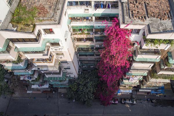 199麻豆up主吐槽盘点，内容绝，我刷了 示例图 - 说明文字