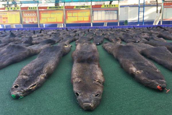 在我眉心中藏着一个独特的世界 示例图 - 说明文字