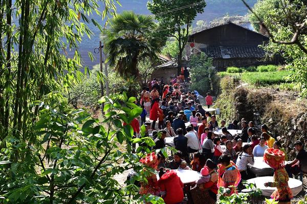 →→fulao2邮箱专业站长版v3314.6314.58585a_ 示例图 - 说明文字