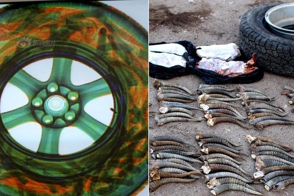 公司公厕小说免费阅读2025最新章节更新 示例图 - 说明文字