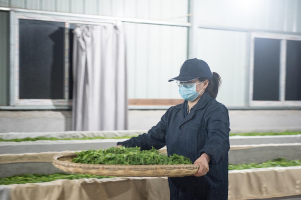 庙里的和尚猛免费在线阅读_四缺一_全集最新收录 示例图 - 说明文字