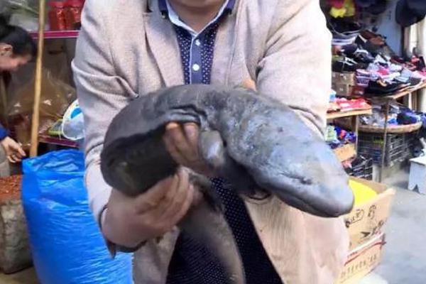 aaaa级片，最新aaaa大片，高清aaaavaaaaaa精品视频 示例图 - 说明文字