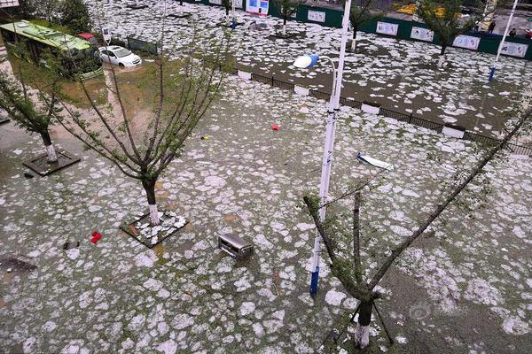 2023奥门正版生肖图v5.6.5 - 生肖图软件下载 示例图 - 说明文字