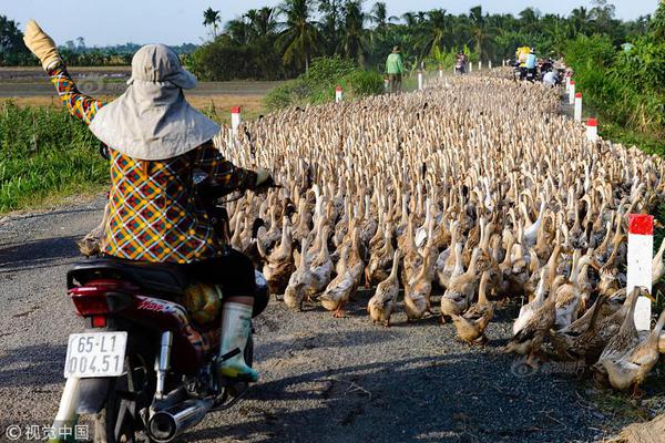安全找到18游戏入口，避开常见问题和风险的指南 示例图 - 说明文字