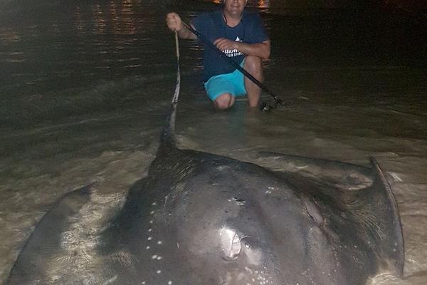 skixixwaswaskino热潮揭秘 示例图 - 说明文字