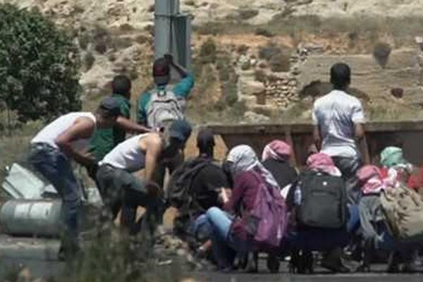 军情五处第四季全集免费在线观看-英国欧 示例图 - 说明文字