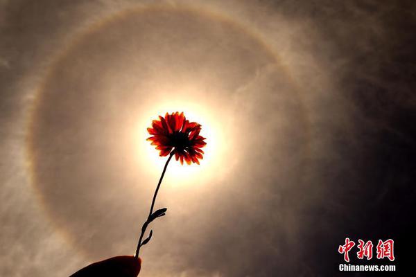 国产av电影精品区一二三区日韩av免费收看 示例图 - 说明文字