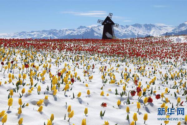 安全找到18游戏入口，避开常见问题和风险的指南 示例图 - 说明文字