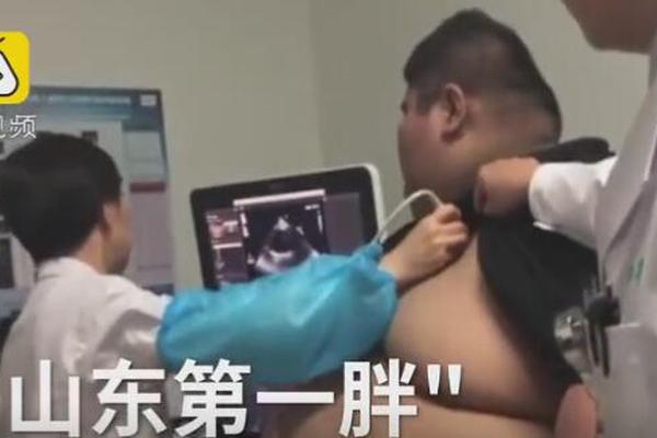 上半年全国社会物流总额1674万亿元，恢复稳定态势持续 示例图 - 说明文字