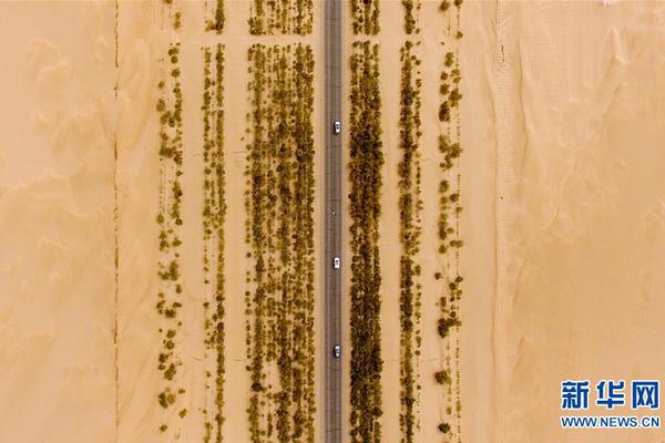 在城市乡村间 gary农民工的奋斗故事 示例图 - 说明文字