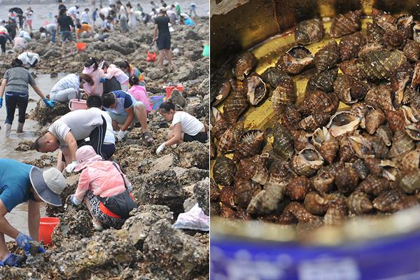 免费观看军情五处第四季电视剧完整版-英国欧 示例图 - 说明文字