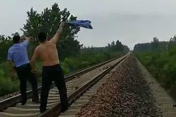 免费观看军情五处第四季电视剧完整版-英国欧 示例图 - 说明文字