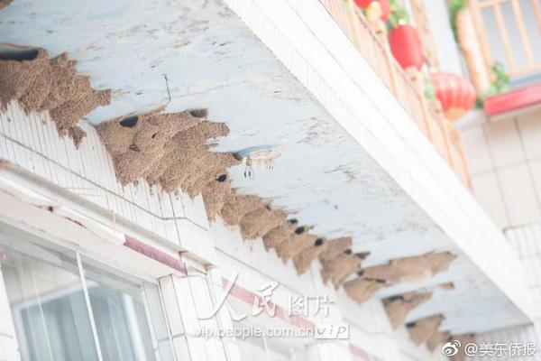 军情五处第四季全集免费在线观看-英国欧 示例图 - 说明文字