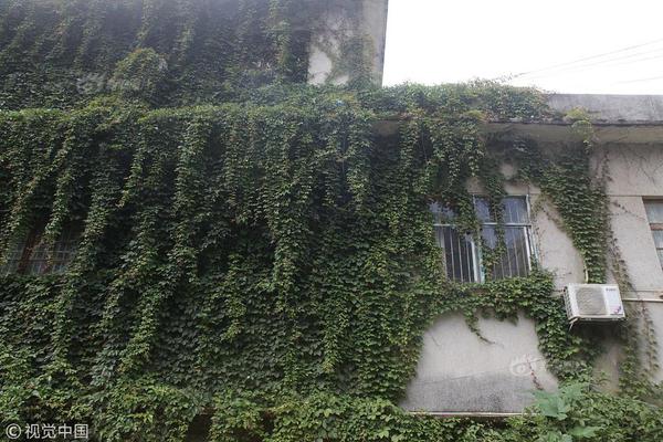 8x8x多重含义数学科技文化中应用 示例图 - 说明文字