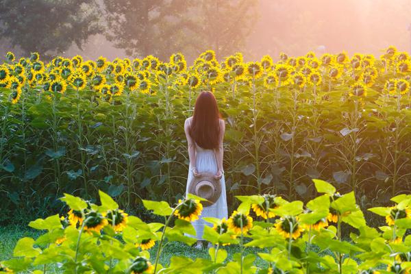 2024年管家婆100%中奖安全设计说明法 示例图 - 说明文字