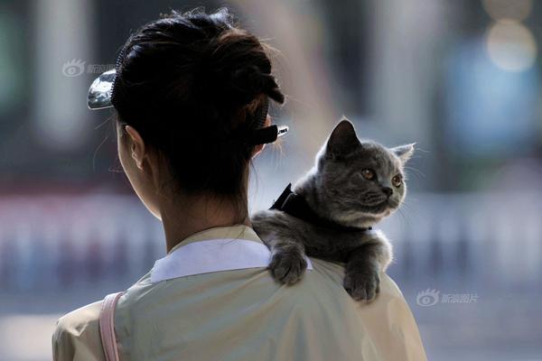 国产av电影精品区一二三区日韩av免费收看 示例图 - 说明文字