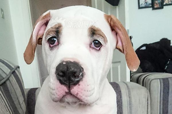 小舞奇遇记下拉漫画txt全集电子书免费下载奇猫趣事网 示例图 - 说明文字