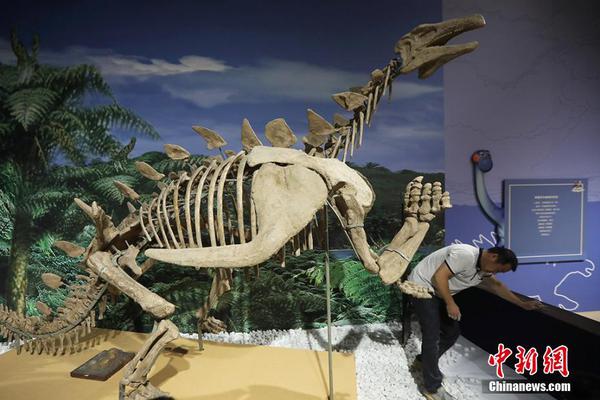 日韩精品人妻无码久久影院神马影院在线top在线播放堂电影网 示例图 - 说明文字