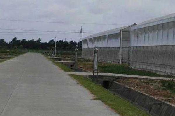 sone-359车牌号鹫尾芽衣升级k罩 示例图 - 说明文字