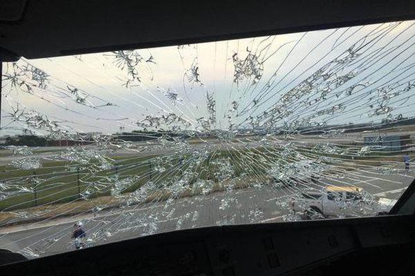 19岁韩国电影tc中字在线观看- 中航影视 示例图 - 说明文字