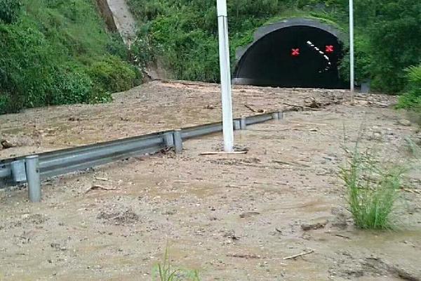 skixixwaswaskino热潮揭秘 示例图 - 说明文字